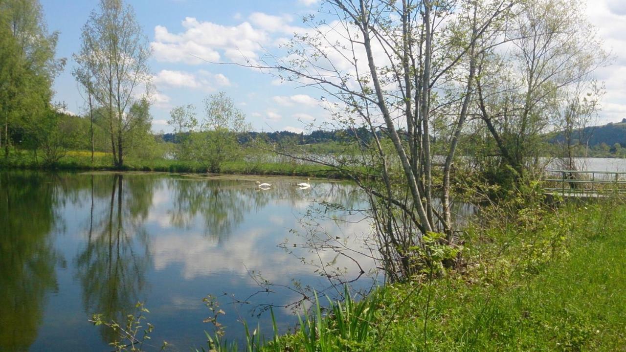 Ferienwohnung Schoenau Immenstadt im Allgäu エクステリア 写真