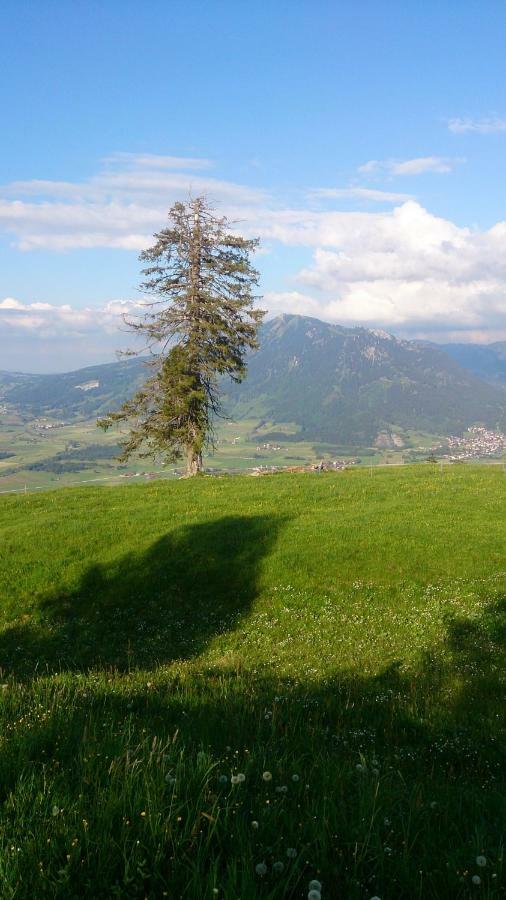 Ferienwohnung Schoenau Immenstadt im Allgäu エクステリア 写真